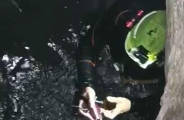 Buzos han mapeado y explorado 36 cenotes en la mancha urbana de Cozumel 