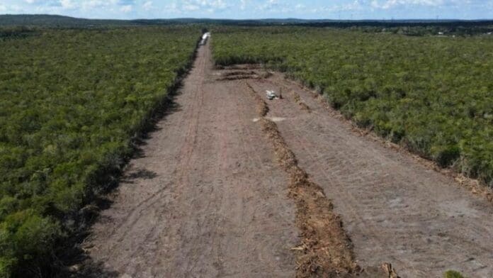 Piden que comisión del T-MEC investigue al Tren Maya por ignorar leyes ambientales