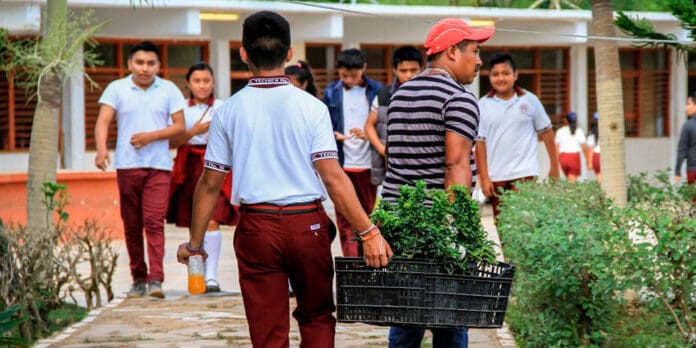 Apoya gobierno de Puerto Morelos a padres de familia en el registro de estudiantes de nuevo ingreso 