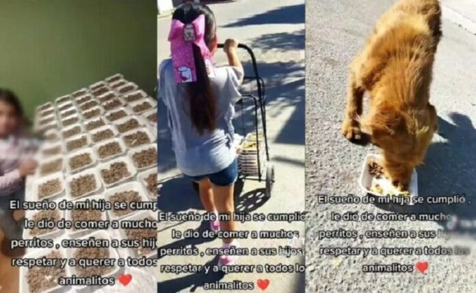 Cumplió su sueño: Niña se hace viral por repartir comida a perritos callejeros