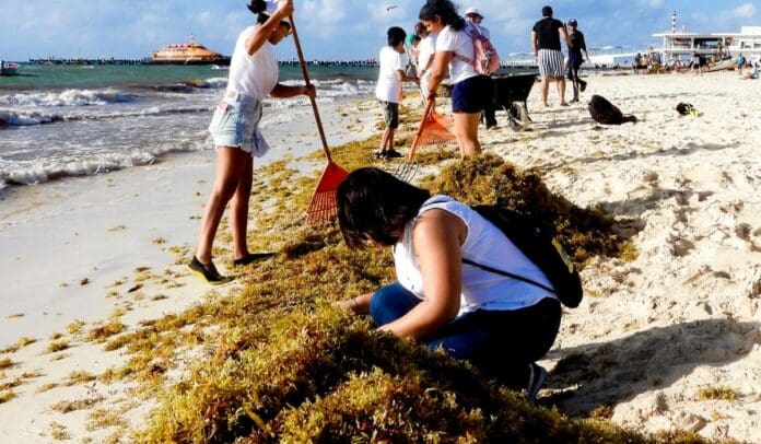 Gobierno intensifica limpieza de playas