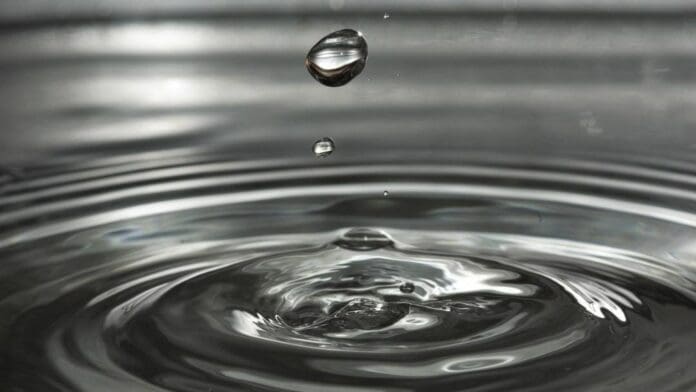 En el marco del Día Mundial del Agua, activistas invitan a empresarios y ciudadanos a cuidar más el vital líquido.