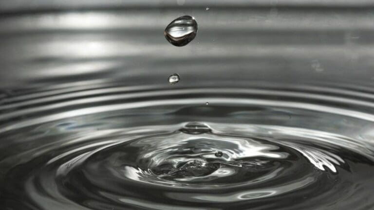 En el marco del Día Mundial del Agua, activistas invitan a empresarios y ciudadanos a cuidar más el vital líquido.