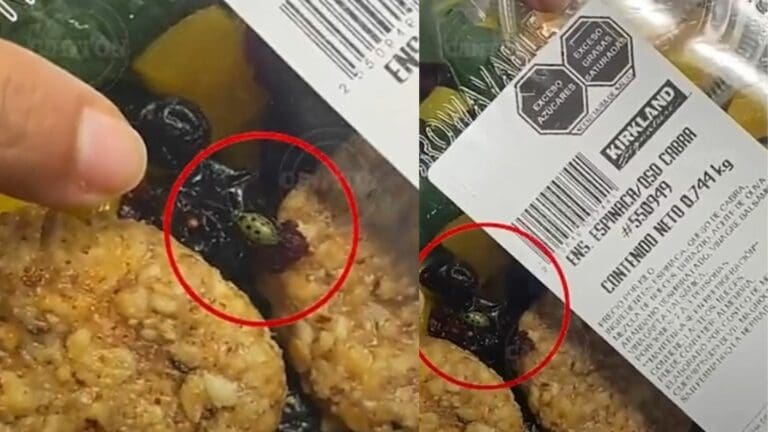 VIDEO: Encuentran insectos en ensalada de un Costco en Tabasco