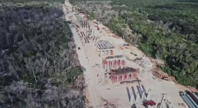 Tribunal Internacional de los Derechos de la Naturaleza pide se suspenda el Tren Maya