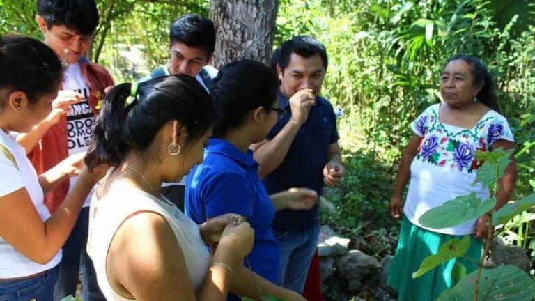 La comunidad universitaria de la Uqroo rechaza la propuesta del rector Francisco López Mena de desaparecer 4 carreras.