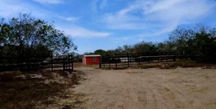 Los secuestrados en Matamoros, y quienes contaban con antecedentes penales, pudieron ser localizados gracias a una denuncia anónima.