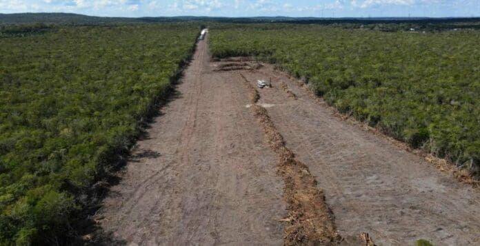 Autoridades de Solidaridad evaluarán los posibles riesgos por las afectaciones que podrían generar las explosiones de las obras del Tren Maya