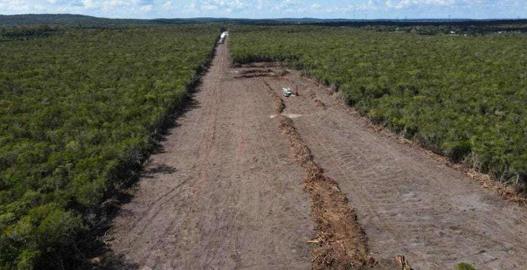 ​​Autoridades de Solidaridad estudiarán posibles riesgos por explosiones del Tren Maya