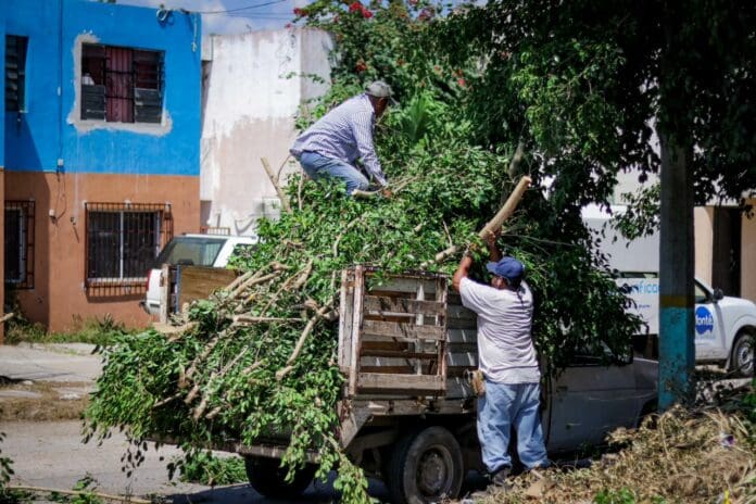 Ayuntamiento de OPB ilumina fraccionamiento Maya Real y colonia KM 5