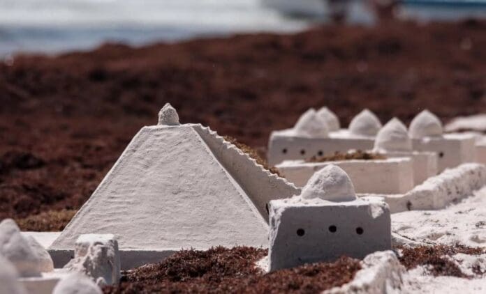 Hallan misteriosa ciudadela maya entre el sargazo de Tulum