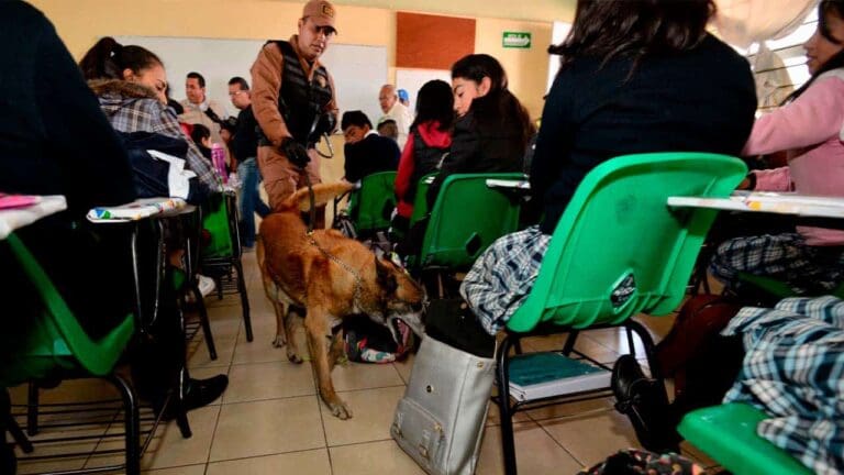 Encuentran armas hechizas y drogas en escuelas de Edomex, se utilizan para retos virales