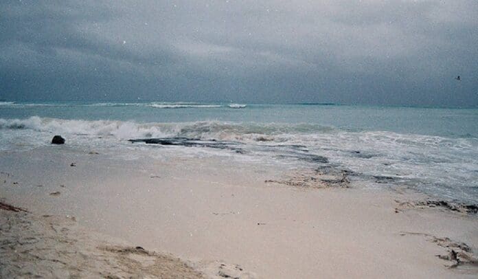 Surada mantiene a pescadores sin salir a la mar en Playa del Carmen