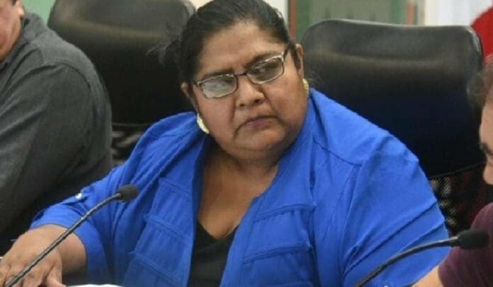 Critica Observatorio Legislativo propuesta para que diputados permanezcan 12 años en su cargo