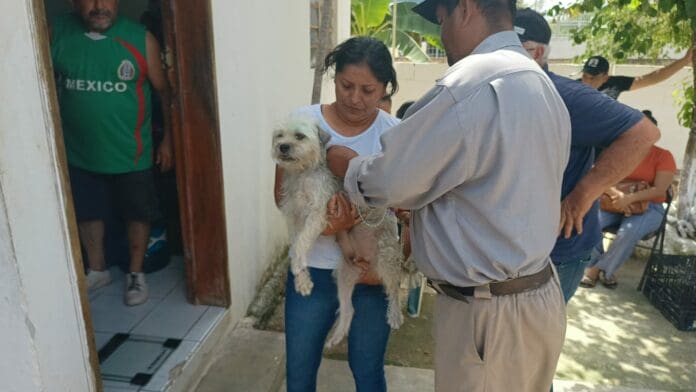 Gran respuesta de la Ciudadanía para hacer comunidad