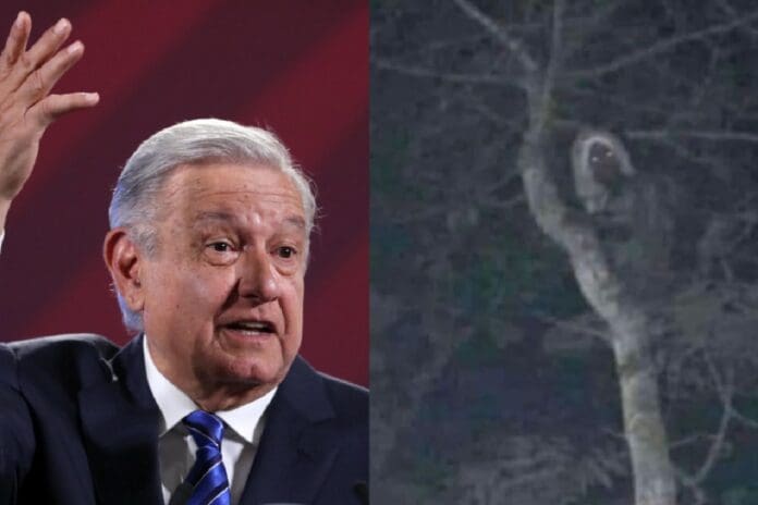 AMLO quiere creer que los aluxes son reales: “En la vida también existe lo místico”