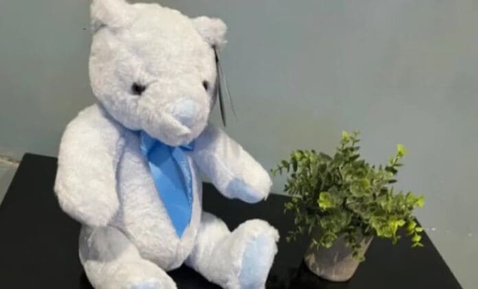 Quedó embarazada tras un encuentro casual y ahora busca al padre en TikTok