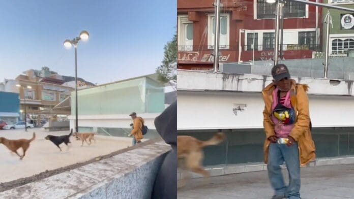 Señora entrena a ejército de perros para acosar skates