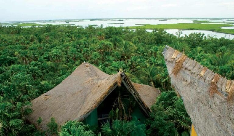 ‘Expropian’ terrenos de Sian Ka’an para Aeropuerto de Tulum y Tren Maya