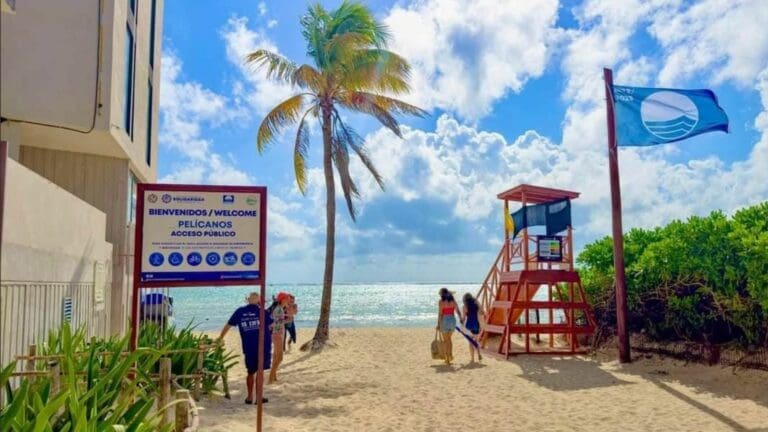 Vendedores de tours llegaron al 100% en esta temporada en Playa del Carmen