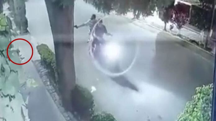 VIDEO: Motociclistas le dispararon a una perrita que dormía en calles de Edomex