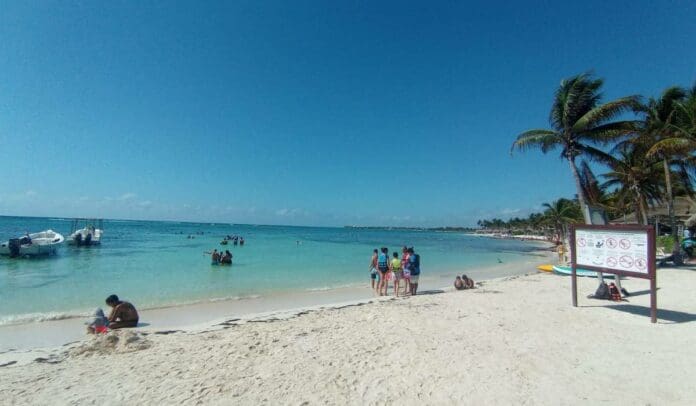 Mantienen playas de la bahía de Akumal libre de sargazo