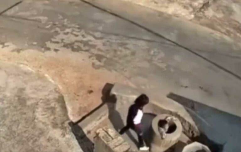 VIDEO Niña de siete años avienta a pozo a niño de cuatro