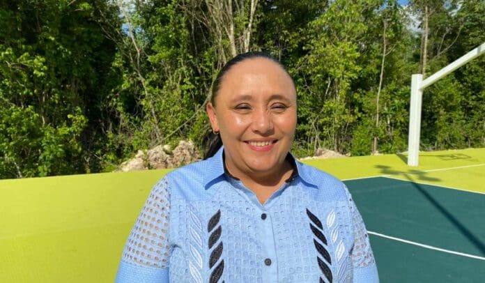 Cristina Torres Gómez dijo que serán dos los tipos de plataformas que contempla la propuesta de reforma a la Ley de Movilidad.