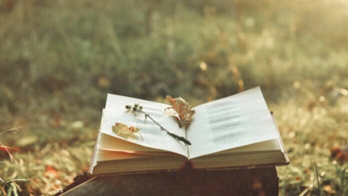 Obtiene estudiante de la UQROO el Premio Nacional Universitario de Poesía 'José Emilio Pacheco' 2023