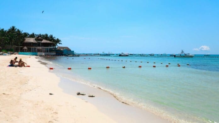 Implementa Zofemat de Solidaridad programa piloto con código QR para concesionarios