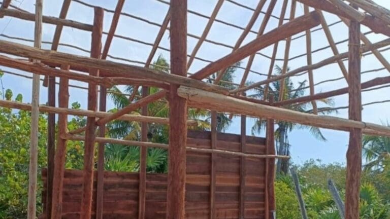 Denuncian ambientalistas construcción en área protegida de Holbox; exigen su demolición