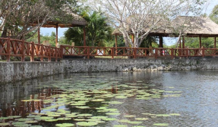Leona Vicario será sede de torneo internacional de buceo en cenotes
