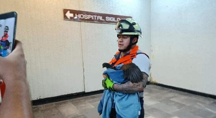Una gallina fue captada en el Metro de la Ciudad de México. Dicen que es una de las 