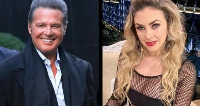 Una grabación en la que Aracely Arámbula llama al padre de sus hijos 