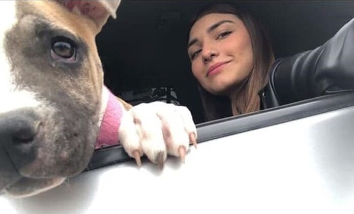 Joven fallece en accidente automovilístico y su perrita muere de tristeza a los pocos días