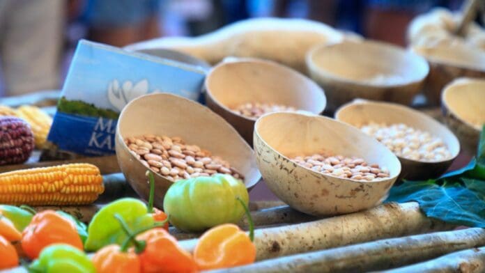 Playa del Carmen, entre las 100 ciudades donde mejor se come