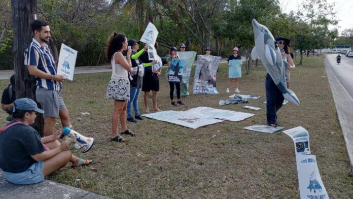 Protestan ambientalistas y ciudadanos de Cancún contra los delfinarios
