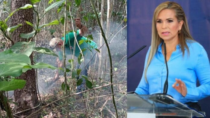 Desarrolladora deberá comparecer tras daños por el incendio en fraccionamiento Bonanza: Lili Campos