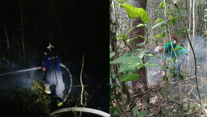 Incendio está controlado: Lili Campos