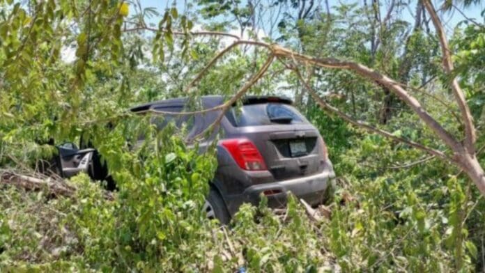 Conductora termina entre la maleza, luego de esquivar un perro, en Playa del Carmen