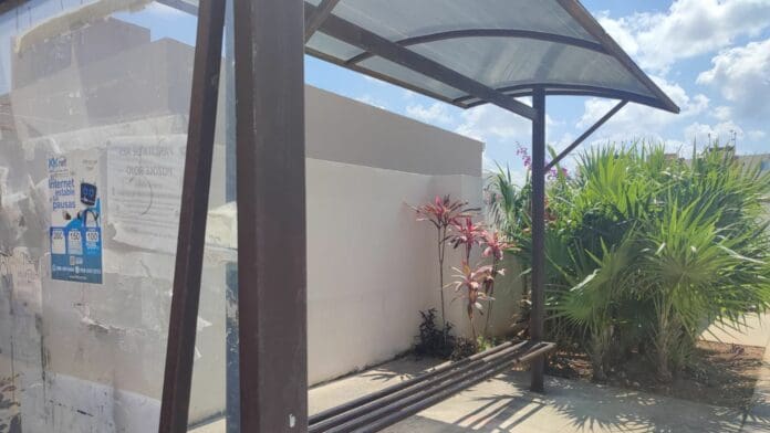 Propone regidor construir paraderos de transporte público con wi-fi y cámaras