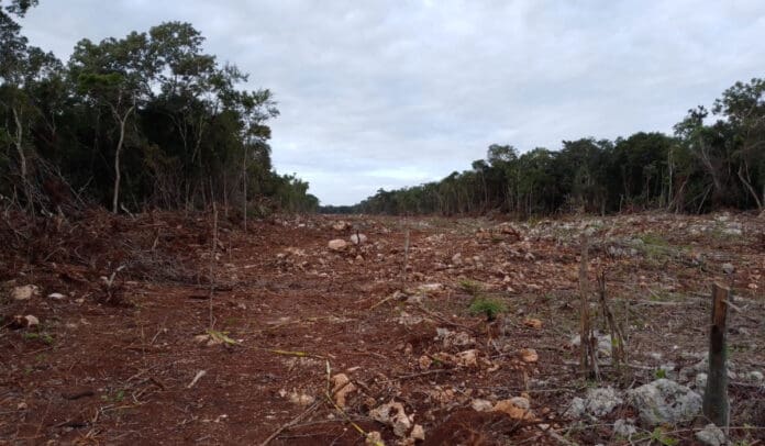 Rompen tubería de agua potable por obras del Tren Maya, en Chemuyil