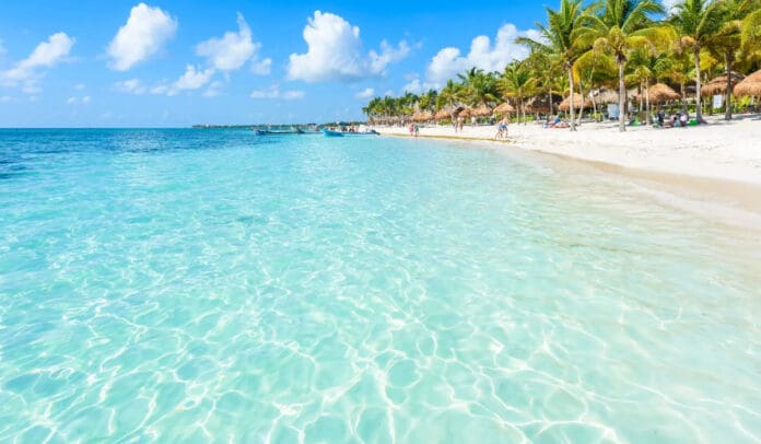 Temporada de verano libre de sargazo según el monitoreo satelital