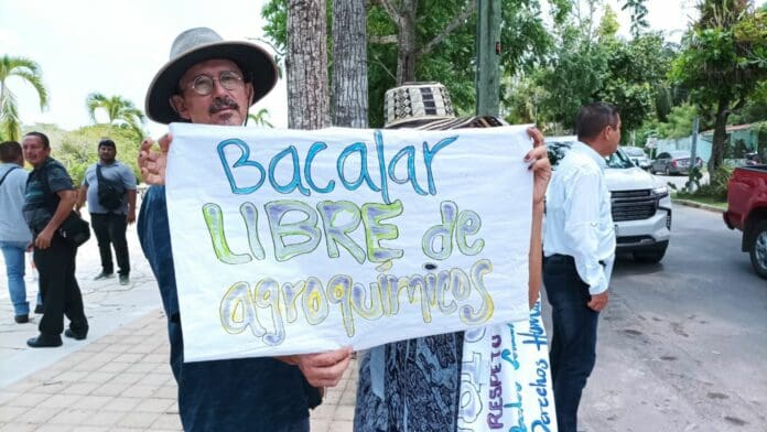 Piden a autoridades que frenen el uso de agroquímicos, por afectaciones a la laguna de Bacalar