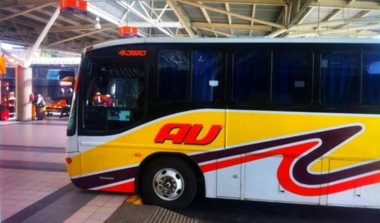 Un feto de cinco meses de edad fue hallado sin vida en un bote de basura de la terminal de autobuses de ADO en Tehuacán, Puebla.