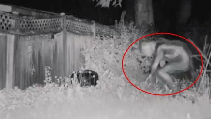 VIDEO: Captan en Las Vegas a supuesto 