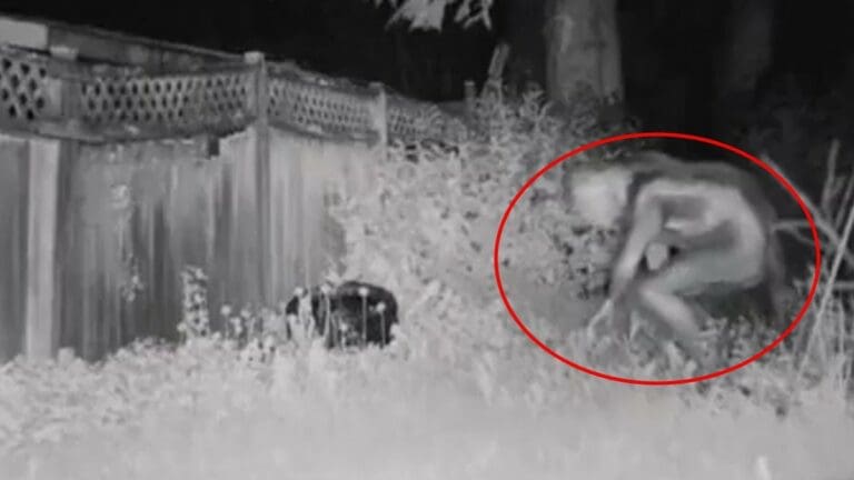 VIDEO: Captan en Las Vegas a supuesto "alien"