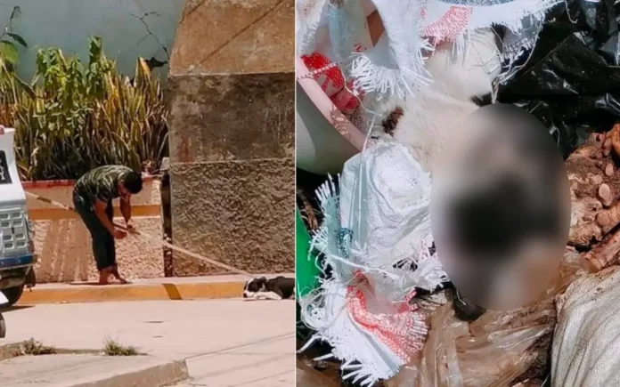 Matan a lomito en Santiago Apóstol, Oaxaca; Fiscalía investiga crueldad animal