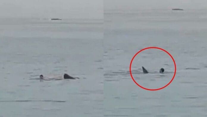 VIDEO trágica muerte de un turista ruso tras ser devorado por un tiburón