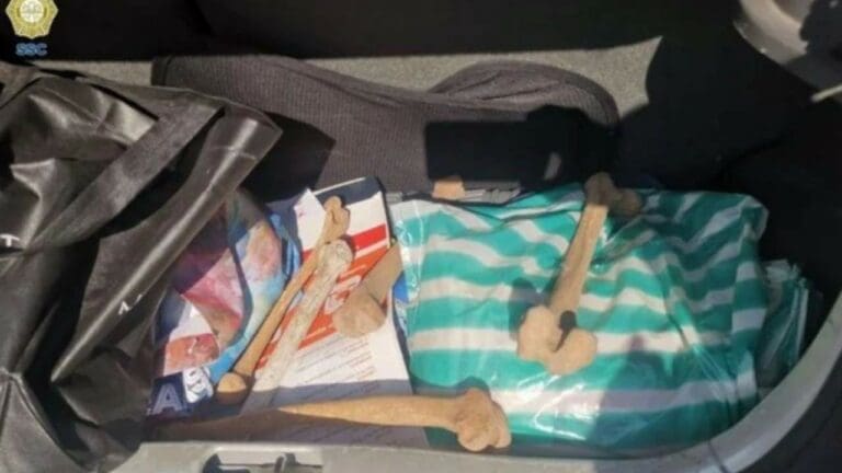 Detienen a mujeres que robaron huesos de un panteón en CDMX para hacer "brujería"